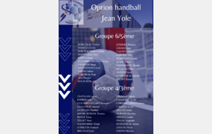 Option Handball au collège Jean Yole
